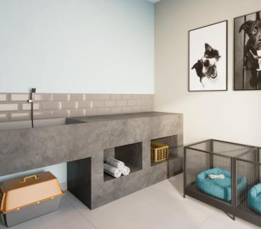 Perspectiva artística do pet care